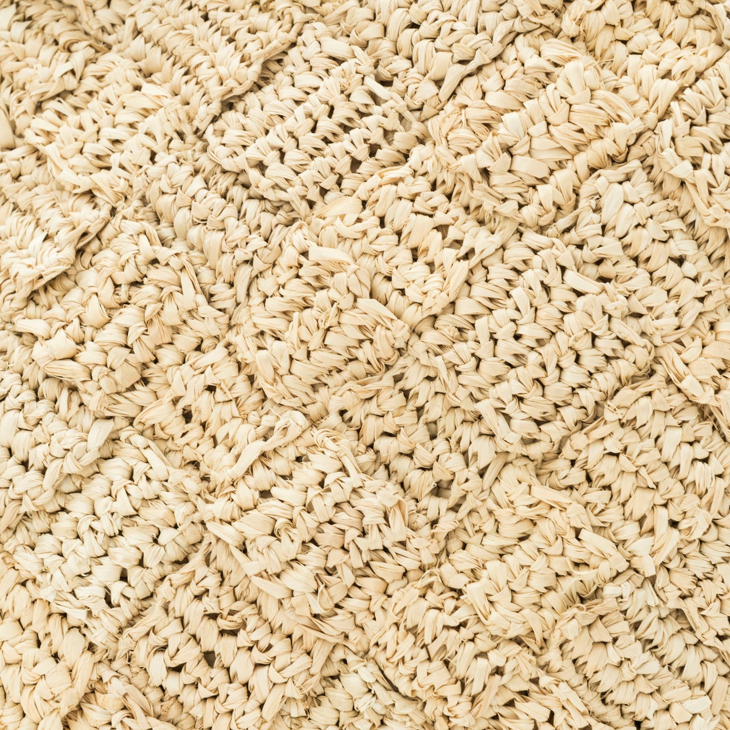 Hand Crochet Raffia Bag - WEAVED